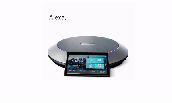 lifesize alexa