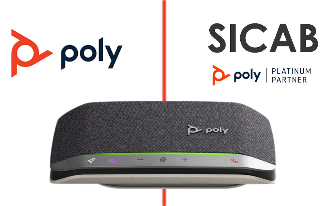 poly sync intervista doppia
