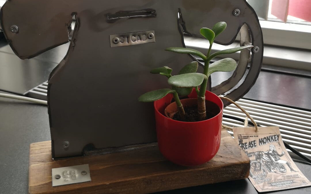 webinar calling telefonia